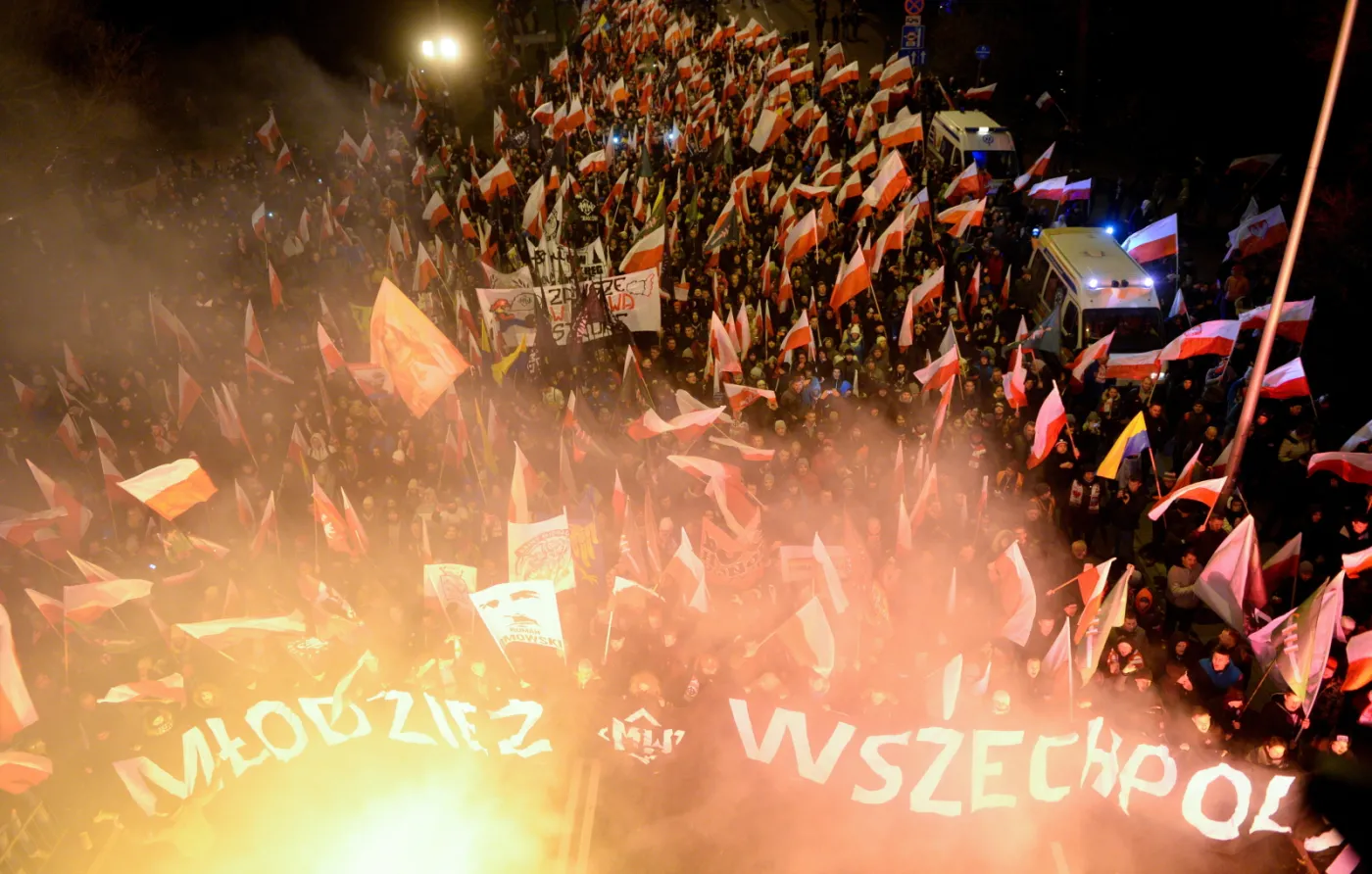 3155078-mlodziez-wszechpolska-na-marszu.jpg