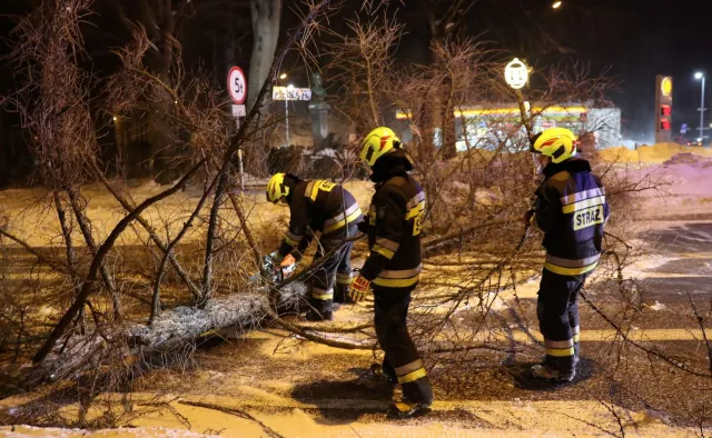 Blisko 1200 interwencji strażaków związanych z silnym wiatrem. 9 osób zginęło