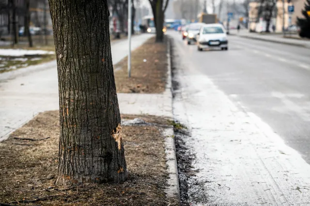 Prokuratura już zna ustalenia biegłych ws. wypadku z udziałem auta Beaty Szydło