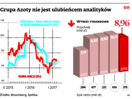 2869346-grupa-azoty-nie-jest-ulubiencem.jpg