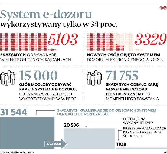 3305036-system-e-dozoru-wykorzystywany.jpg