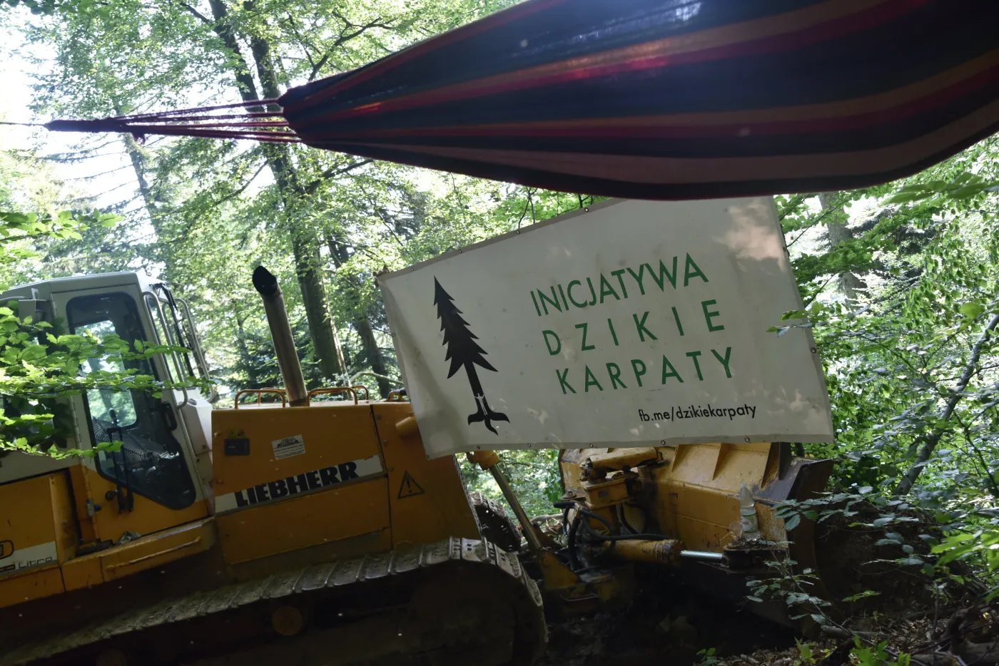 Protesty dotarły w Bieszczady. Aktywiści blokują wycinkę drzew w otulinie parku narodowego