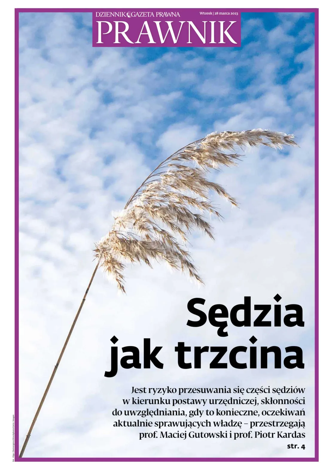 PRAWNIK