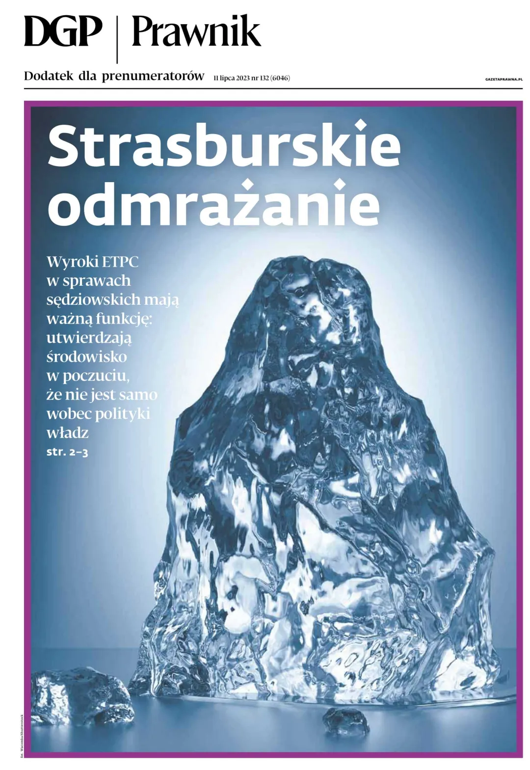PRAWNIK