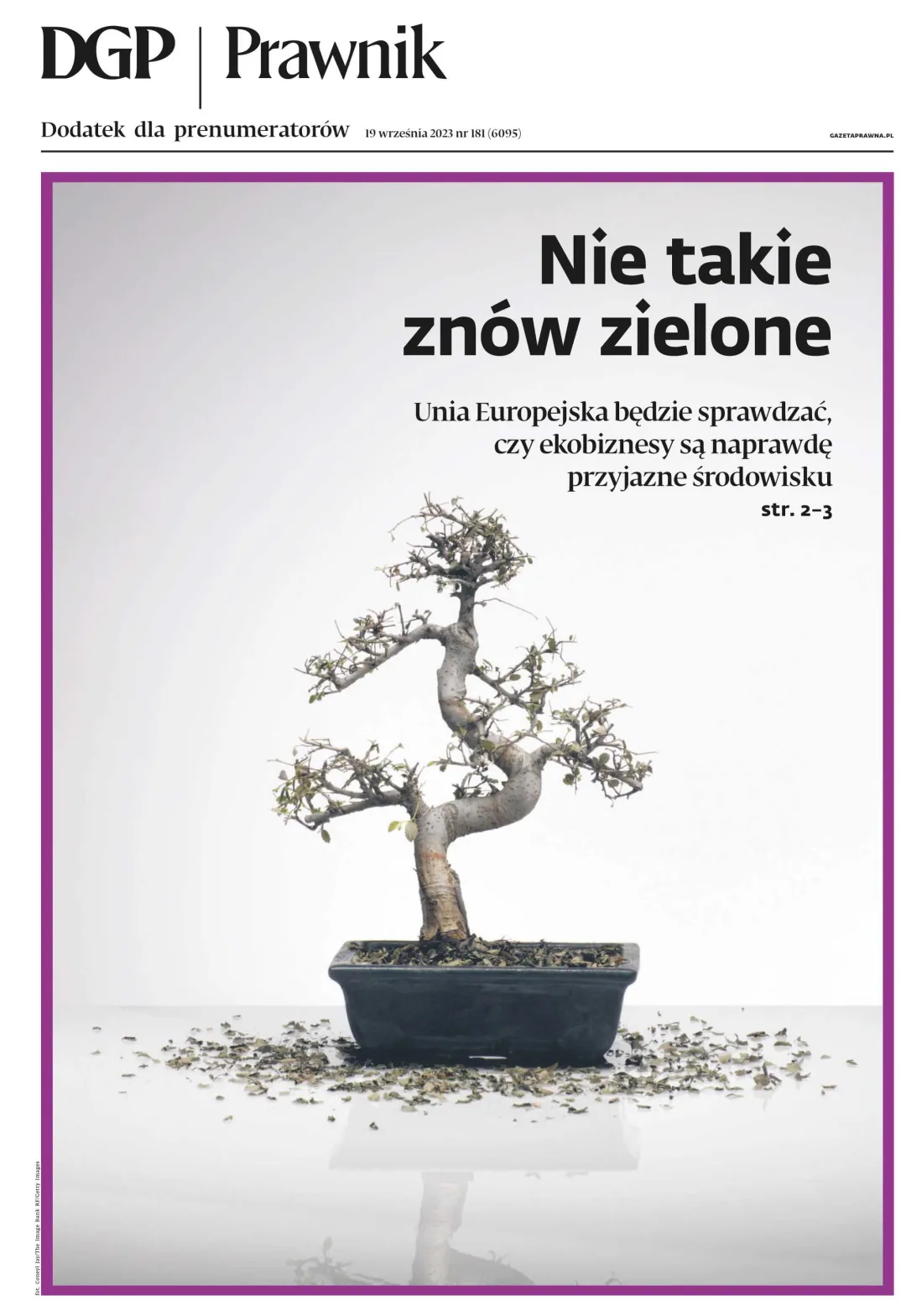 PRAWNIK