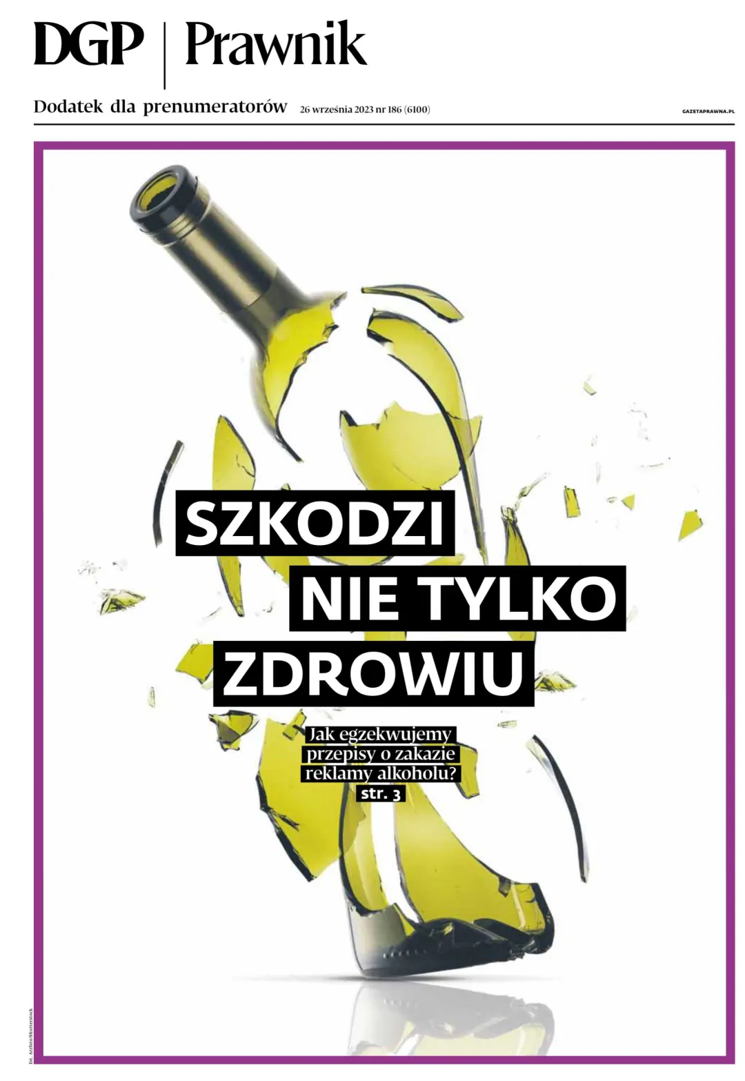 PRAWNIK