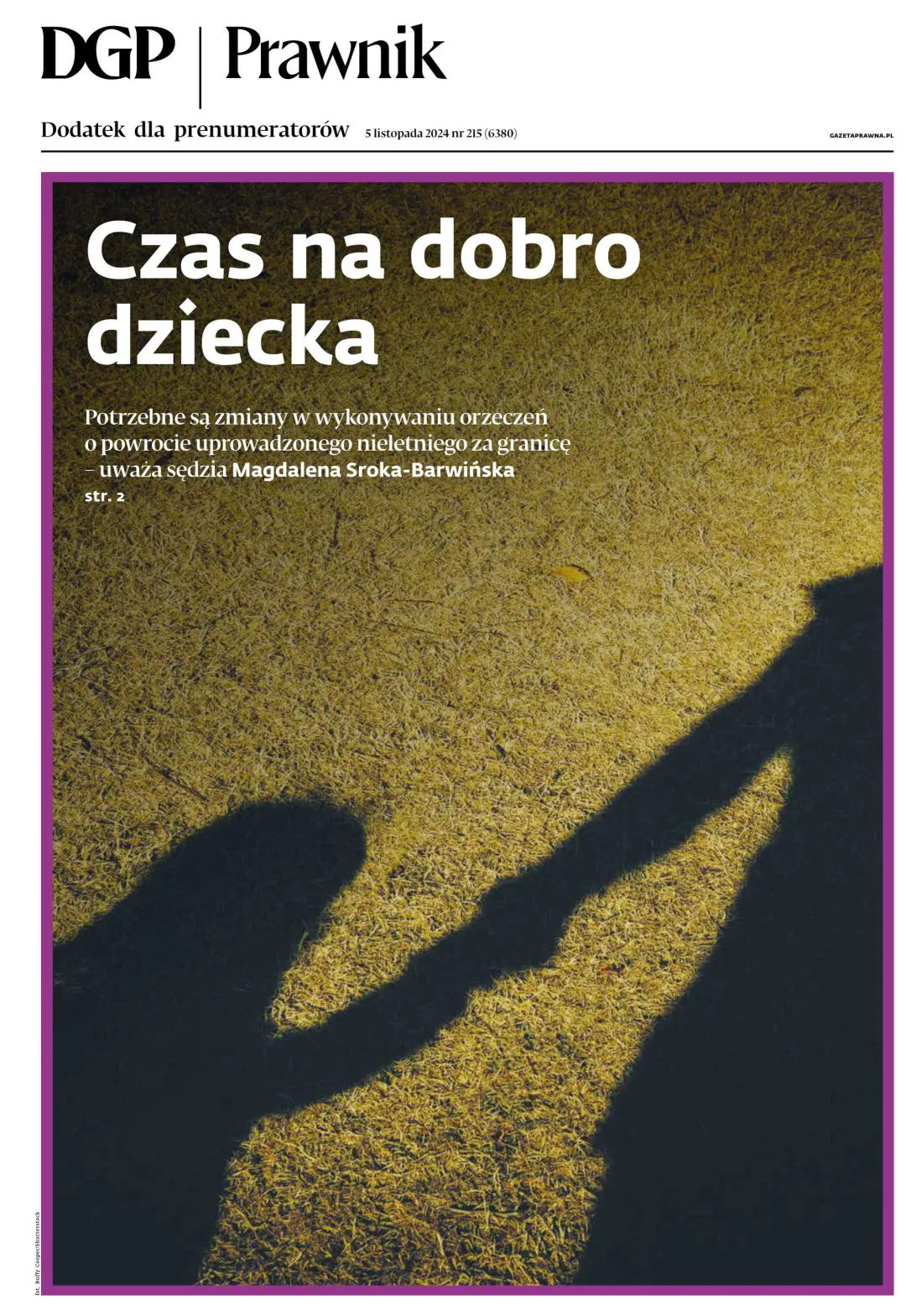 PRAWNIK