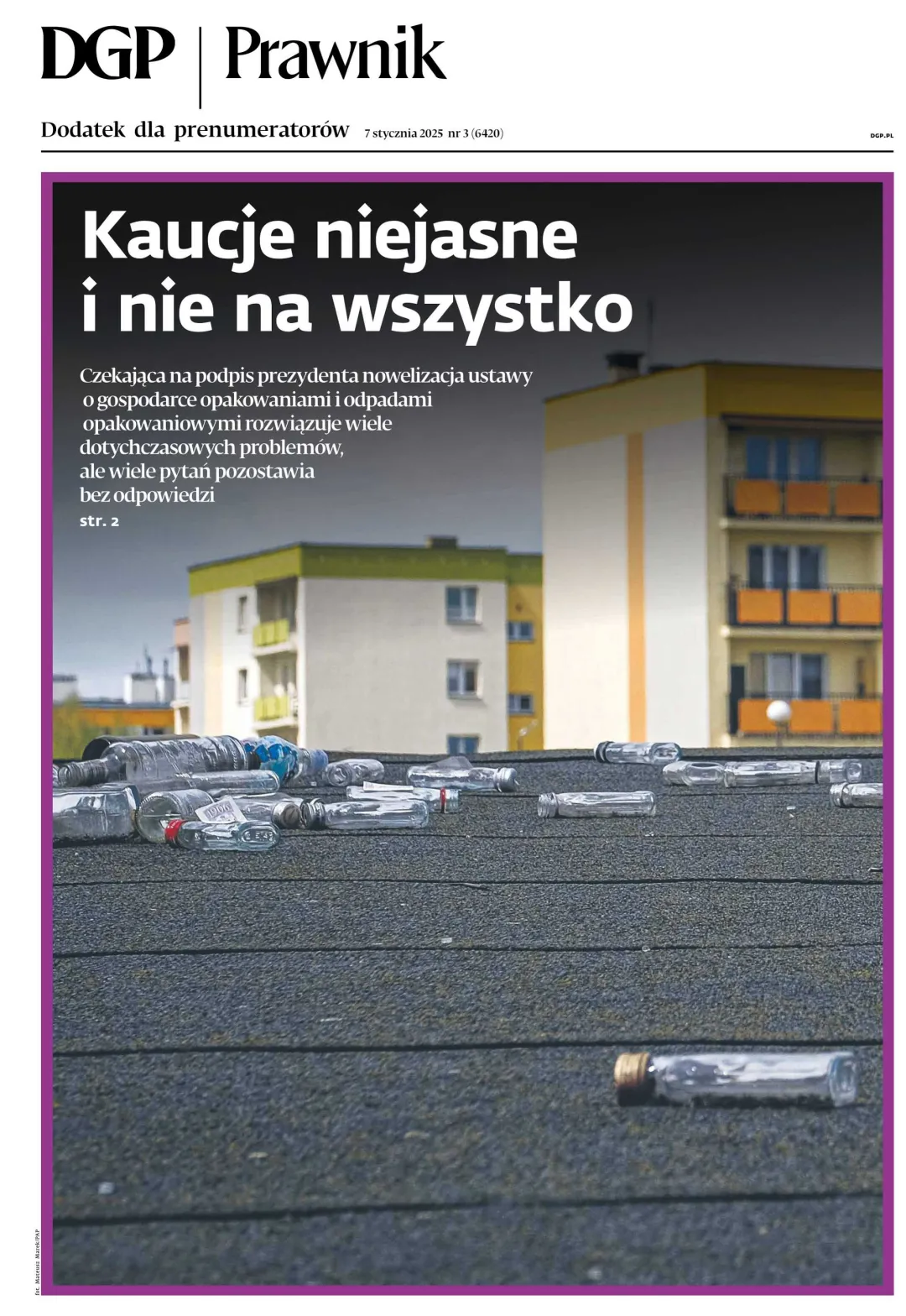 PRAWNIK