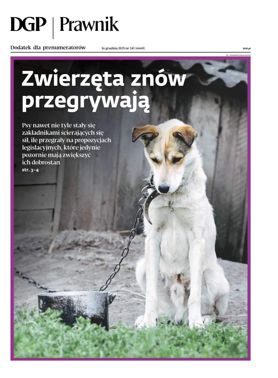 PRAWNIK