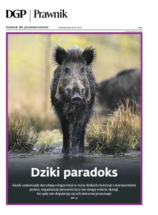 PRAWNIK