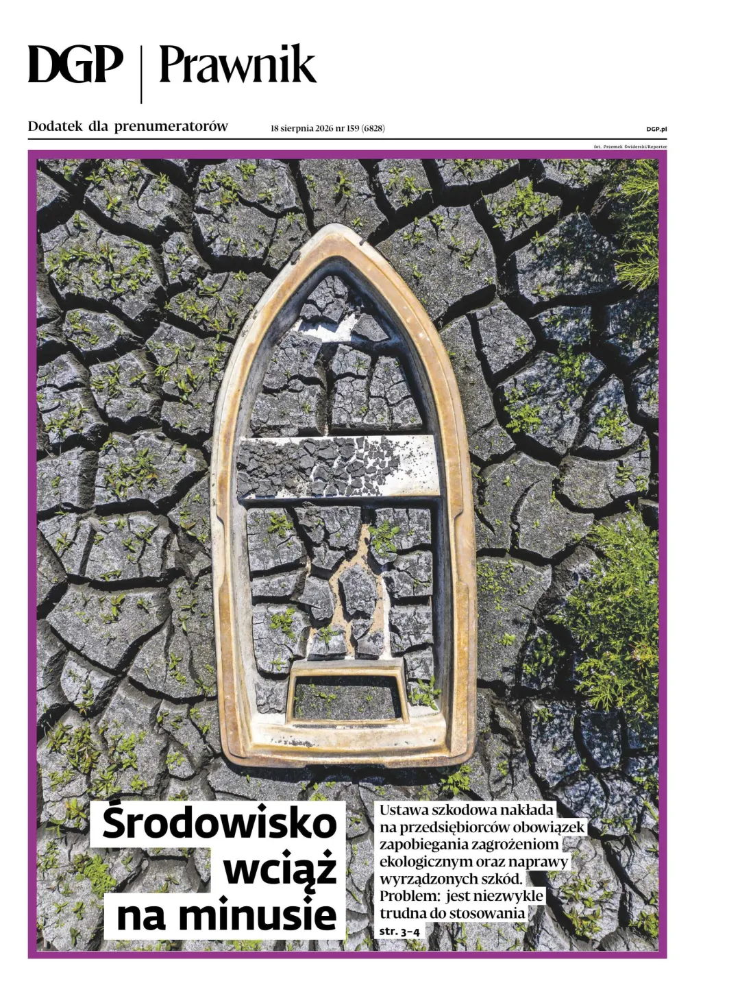 PRAWNIK