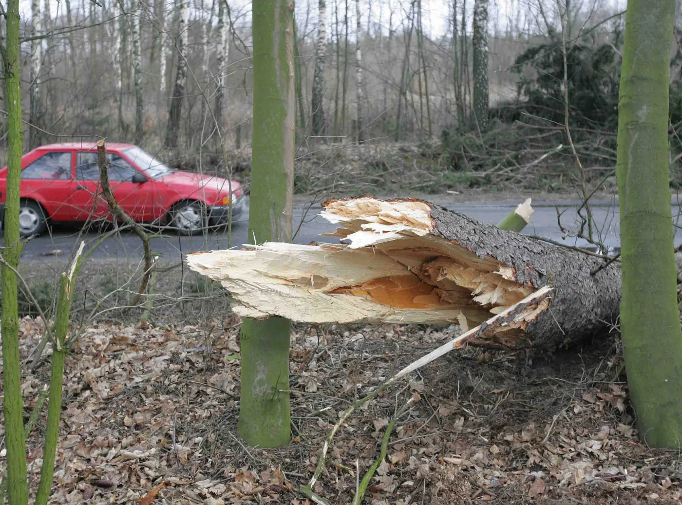 Wichura zabiła kierowcę, są też ranni