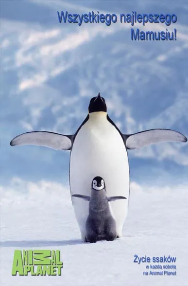 fr_animal_planet_pi_205621a_1222492.jpg