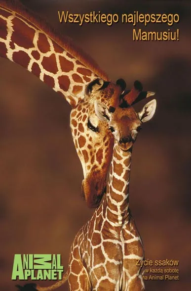 fr_animal_planet_y_205623a_1222599.jpg