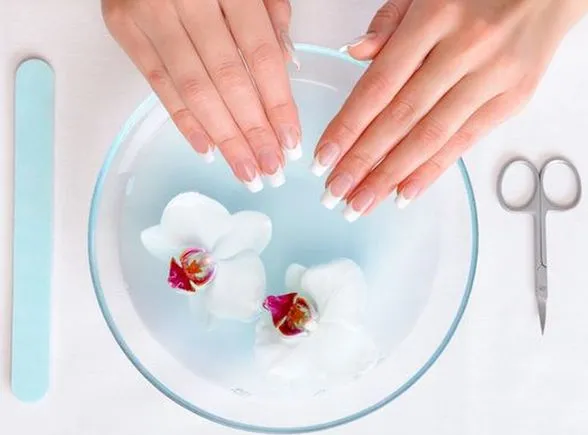 shutterstock_406528_258604a_1017958.jpg