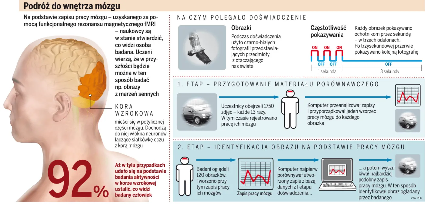 Naukowcy odczytają obrazy z naszej wyobraźni