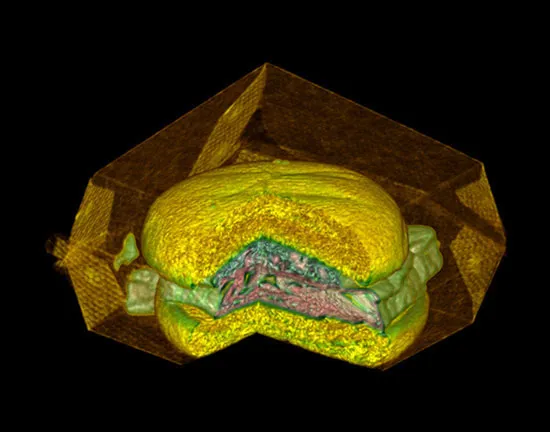 fr_fish_cutaway_med_162532a_1260070.jpg