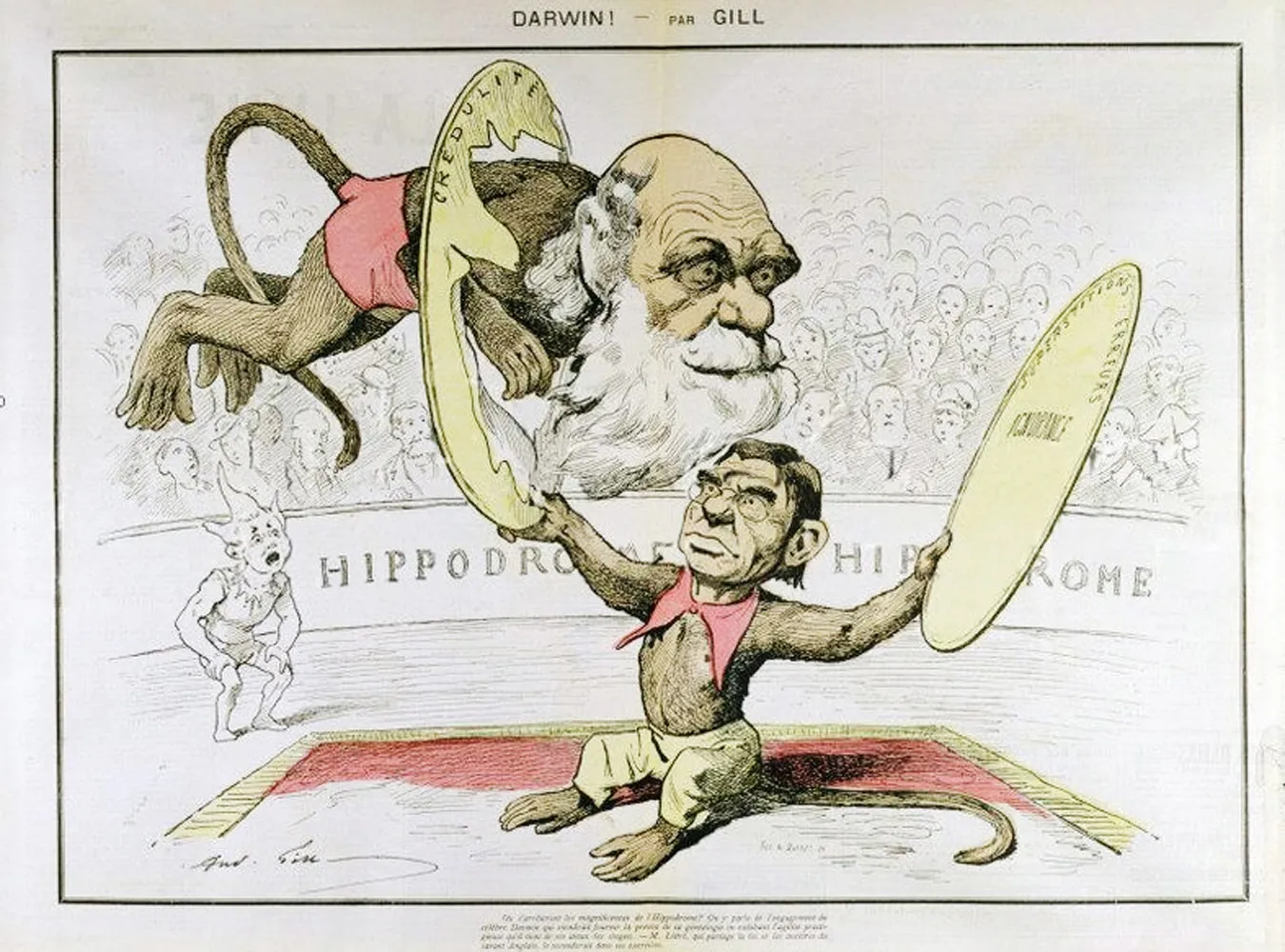 fr_787px_ch_darwin_163562a_1275010.jpg