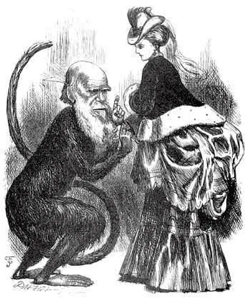 fr_darwin_sexual_ca_163413a_1270438.jpg