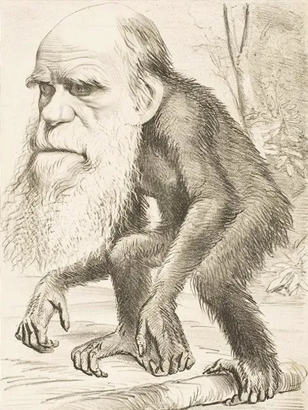 fr_450px_darwin_ape_163405a_1270213.jpg