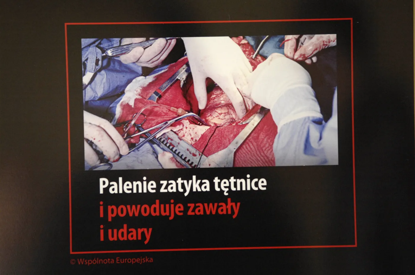minister_zdrowia_o_207397a_1246157.jpg