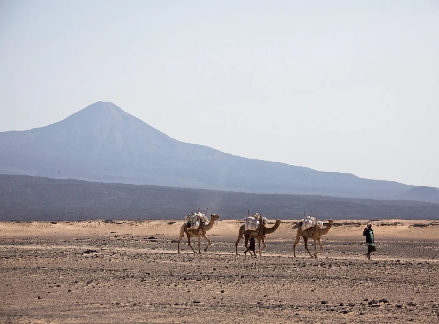 2990191-etiopia-wielblady-karawana.jpg