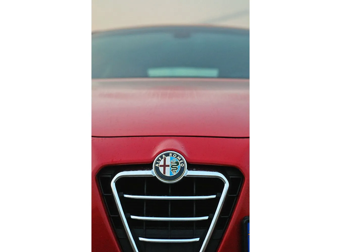 2859962-alfa-romeo-giulietta-dna-q2-6.jpg