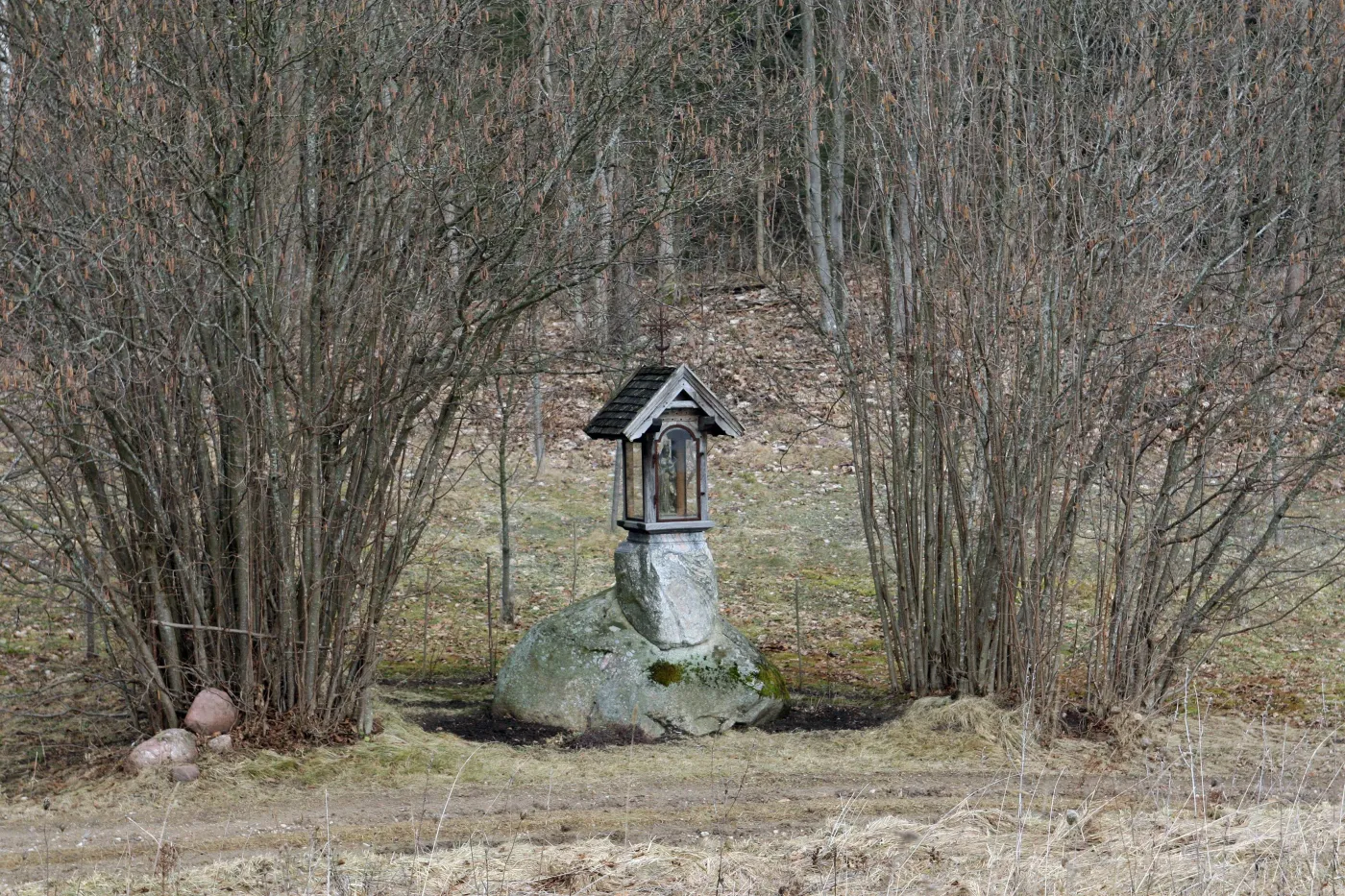 3265011-posiadlosc-janusza-palikota.jpg