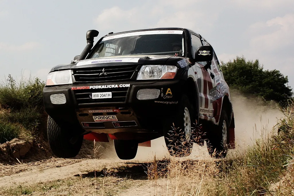 3838222-podkalicka-madej-rally-team08.jpg