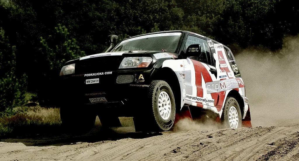 3838349-podkalicka-madej-rally-team15.jpg