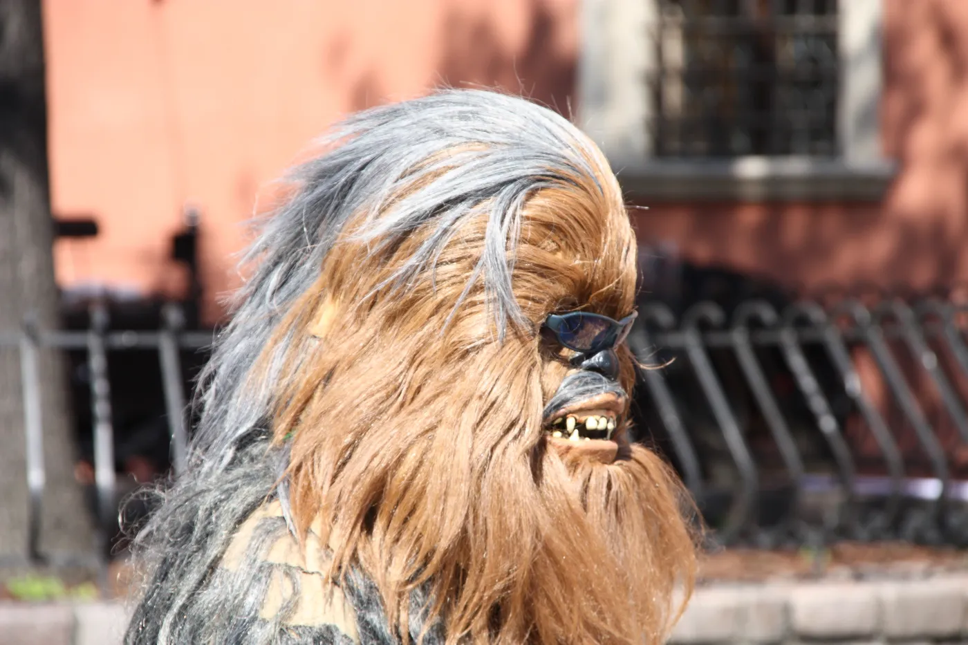 Chewbacca z "Gwiezdnych wojen"