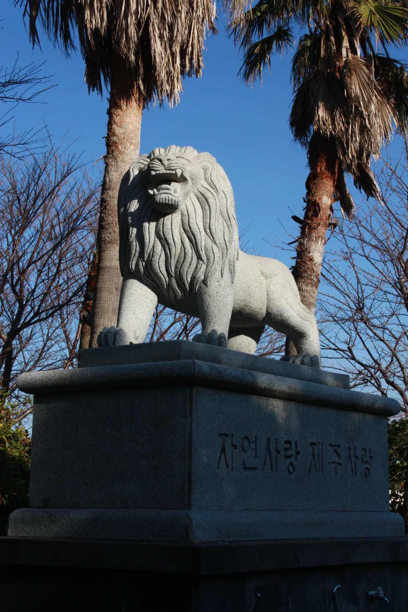 4619915-wyspa-jeju-korea-poludniowa.jpg