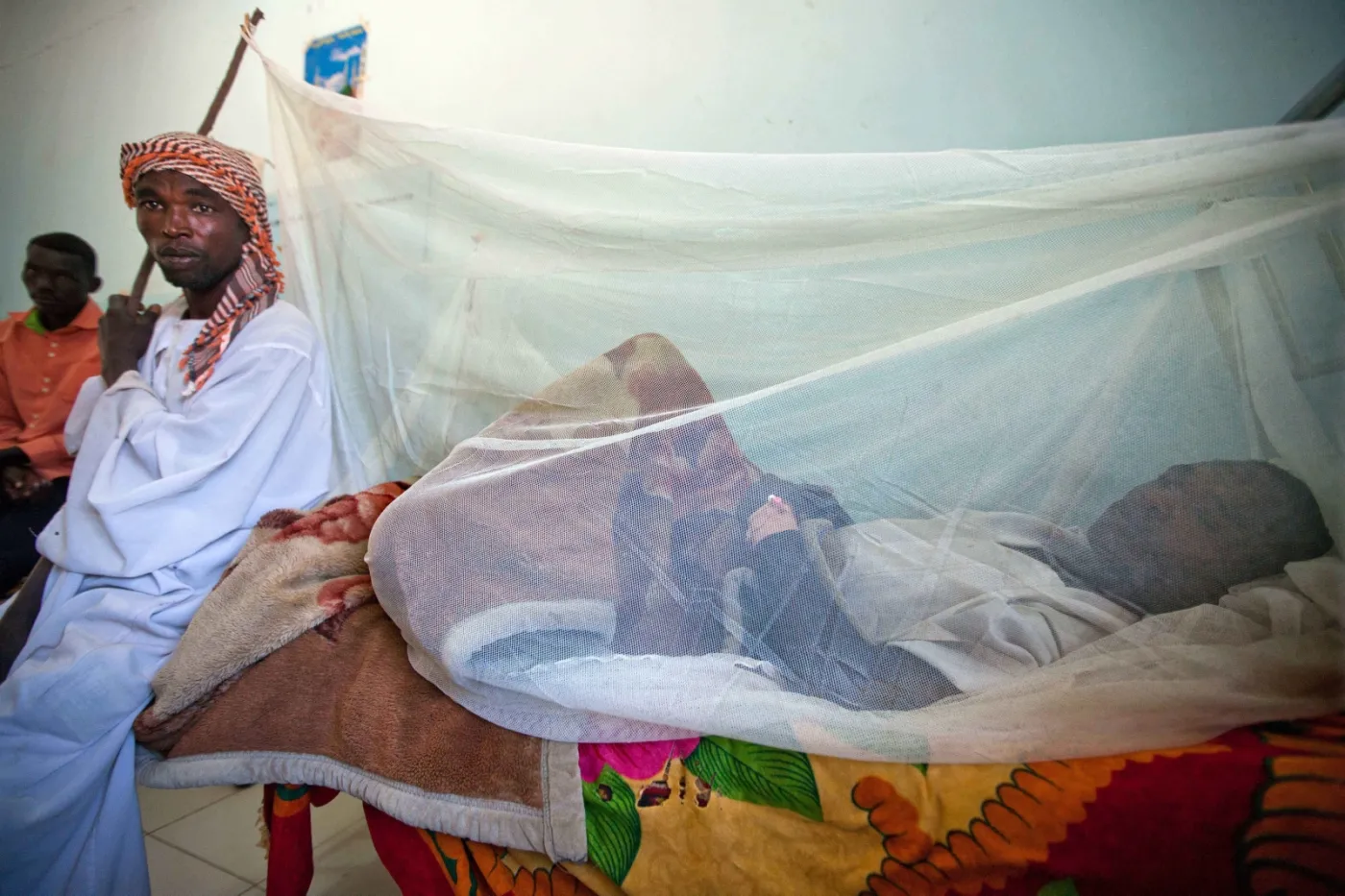 4282354-darfur-goraczka-zolta-febra.jpg