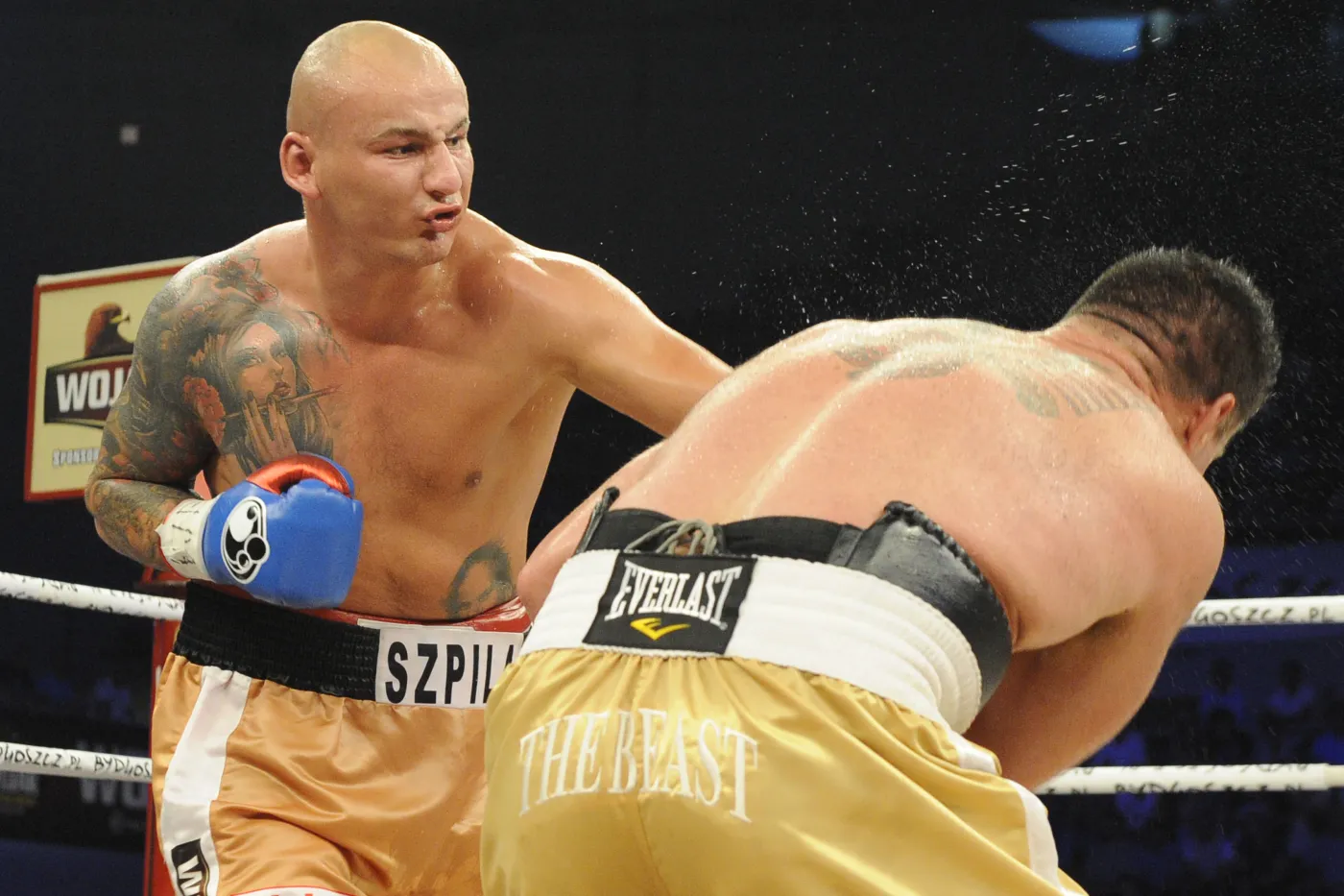 5086408-artur-szpilka-i-brian-minto.jpg