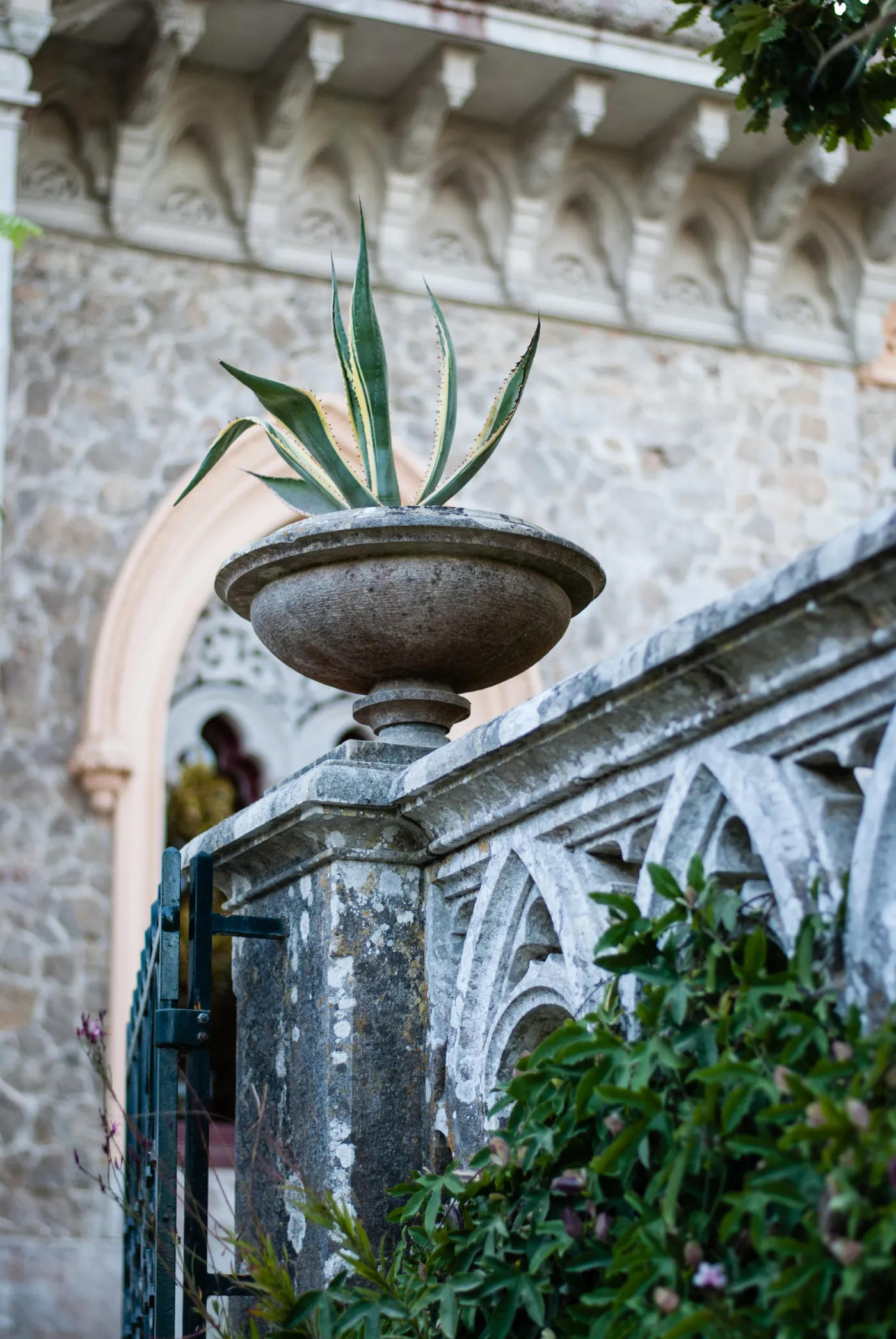 5523964-portugalia-monserrate-sintra.jpg