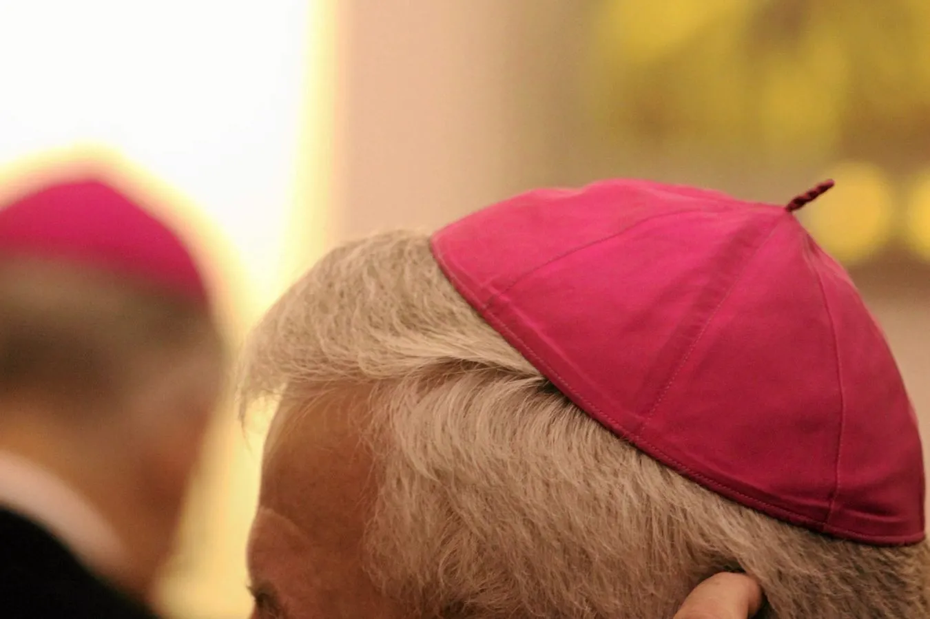 Biała Księga dotycząca pedofilii w Kościele