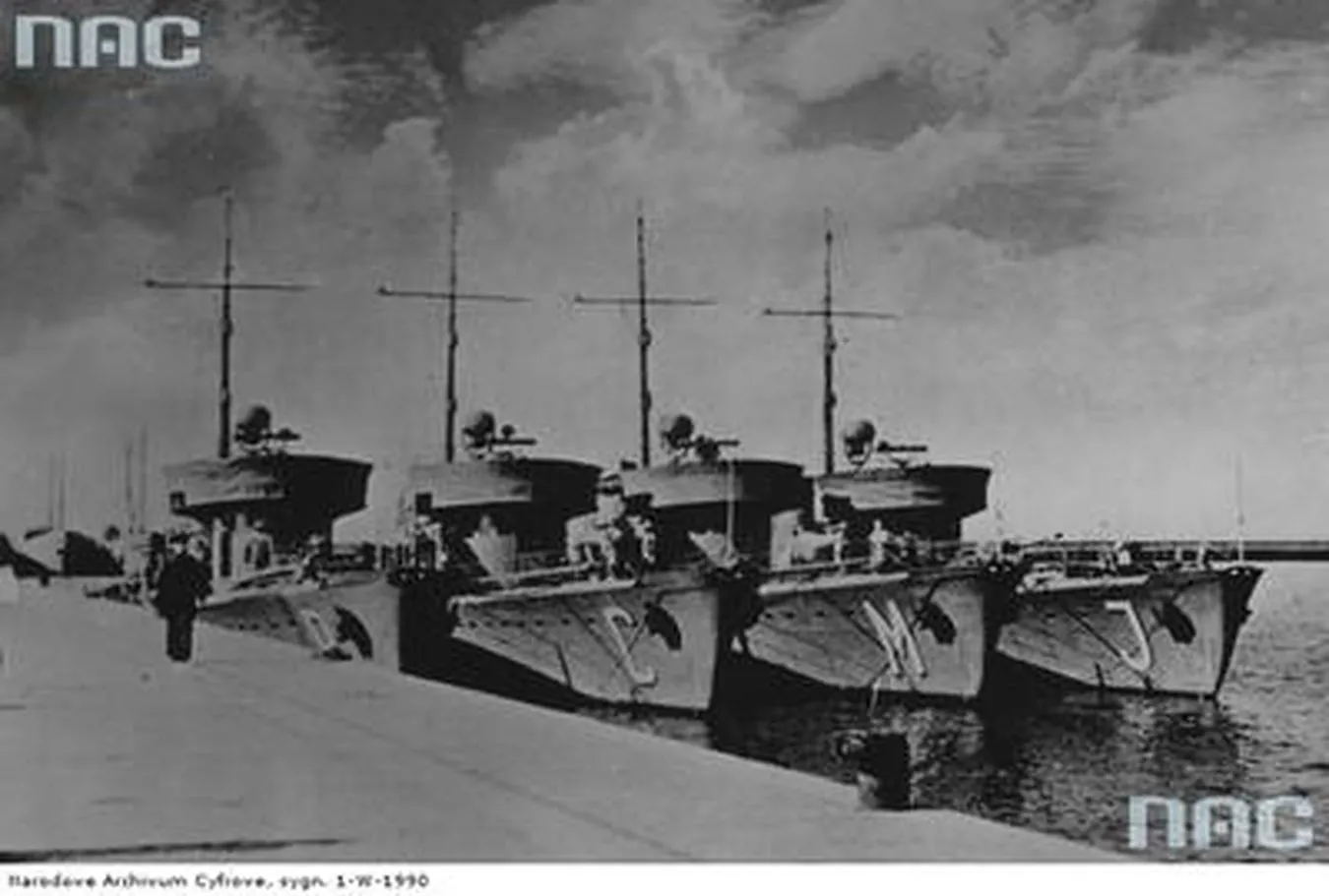 5915122-tralowce-orp-rybitwa-czajka.jpg