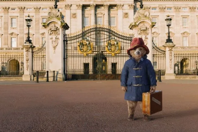 "Paddington" to miś czy szop?