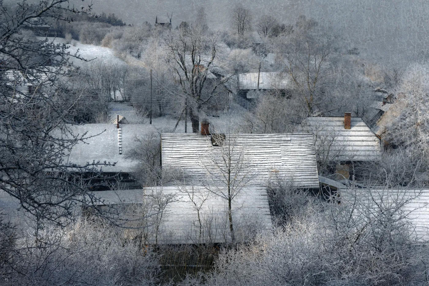 6758776-cztery-pory-roku-tomka-sikory.jpg