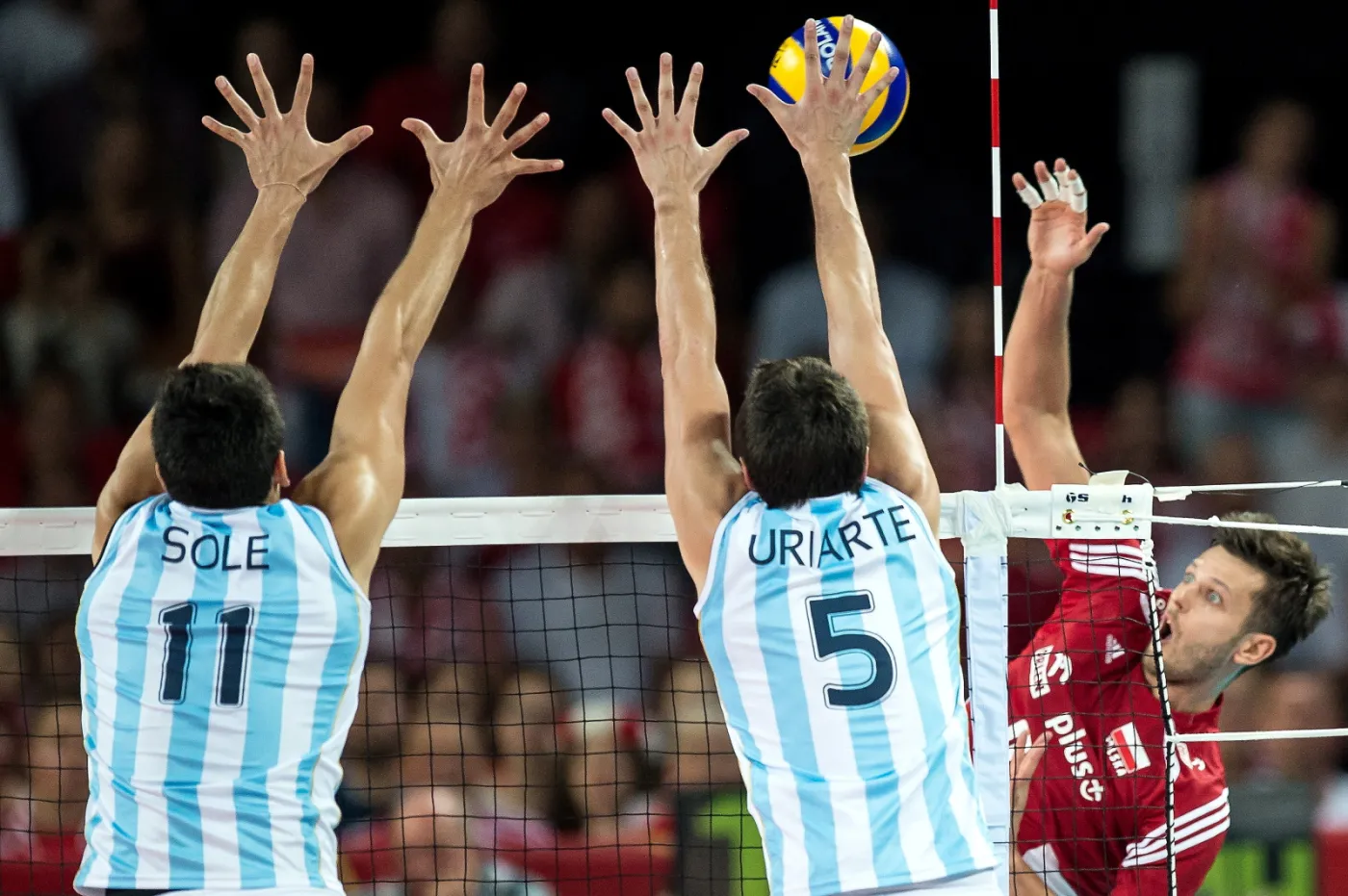 SIATKÓWKA MISTRZOSTWA ŚWIATA 2014 POLSKA ARGENTYNA