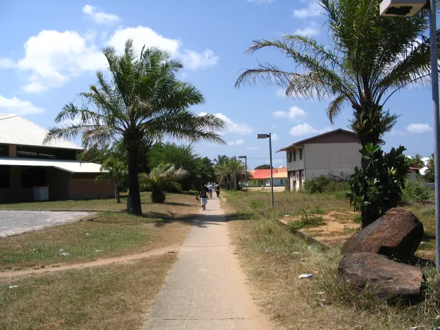 Koronawirus, denga, a teraz to. Dramat we Francji
