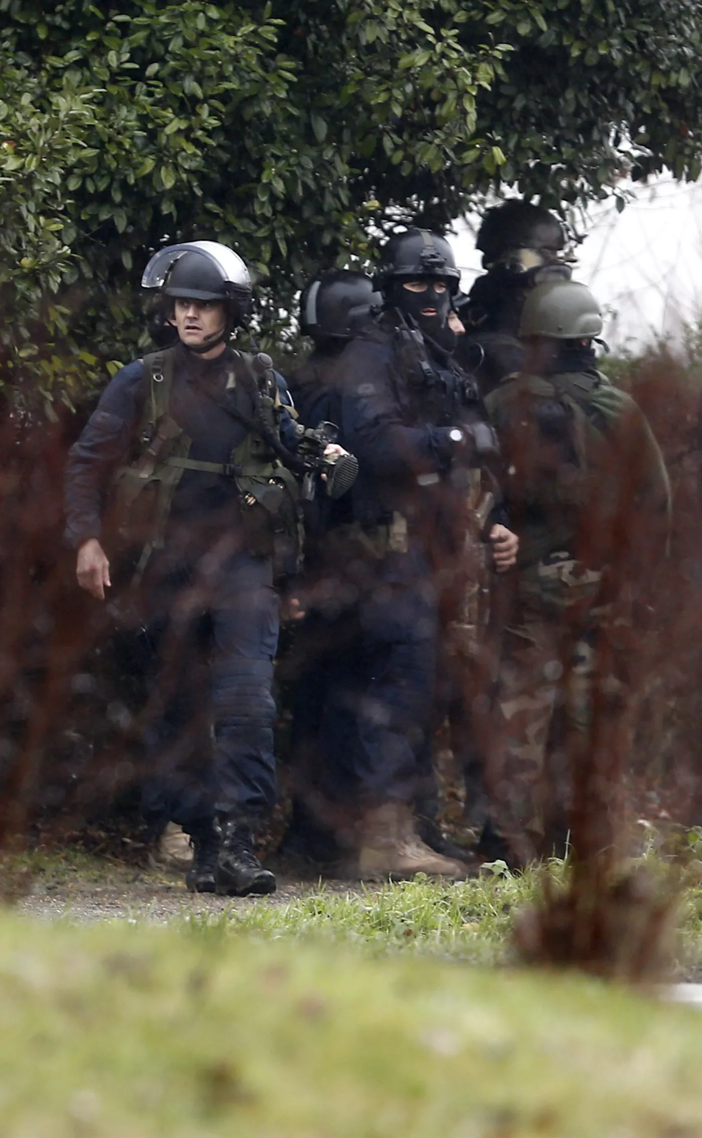 7281548-oblawa-na-terrorystow-ktorzy.jpg