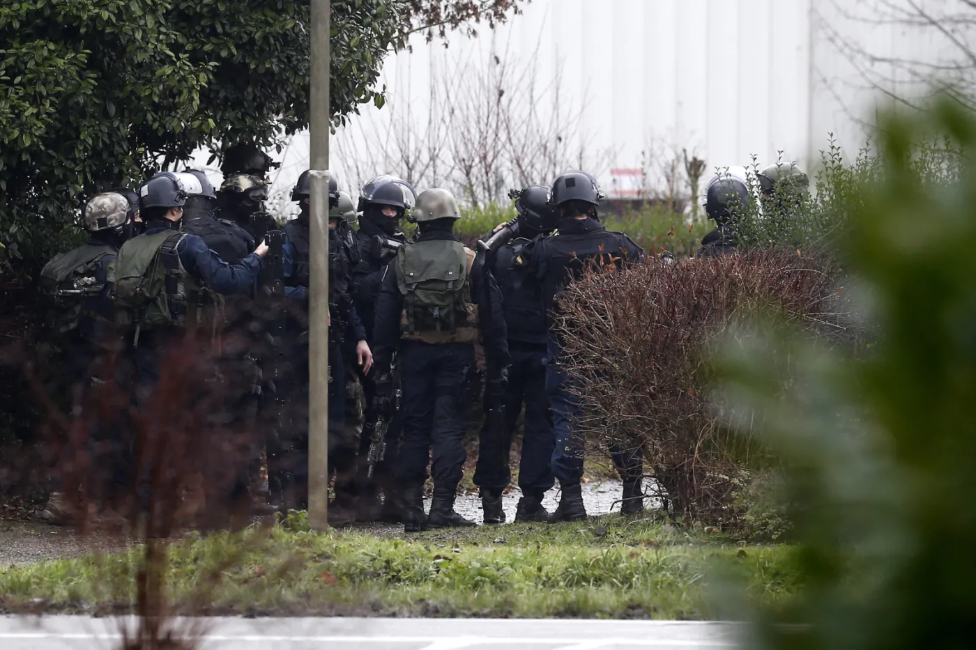 7281635-oblawa-na-terrorystow-ktorzy.jpg