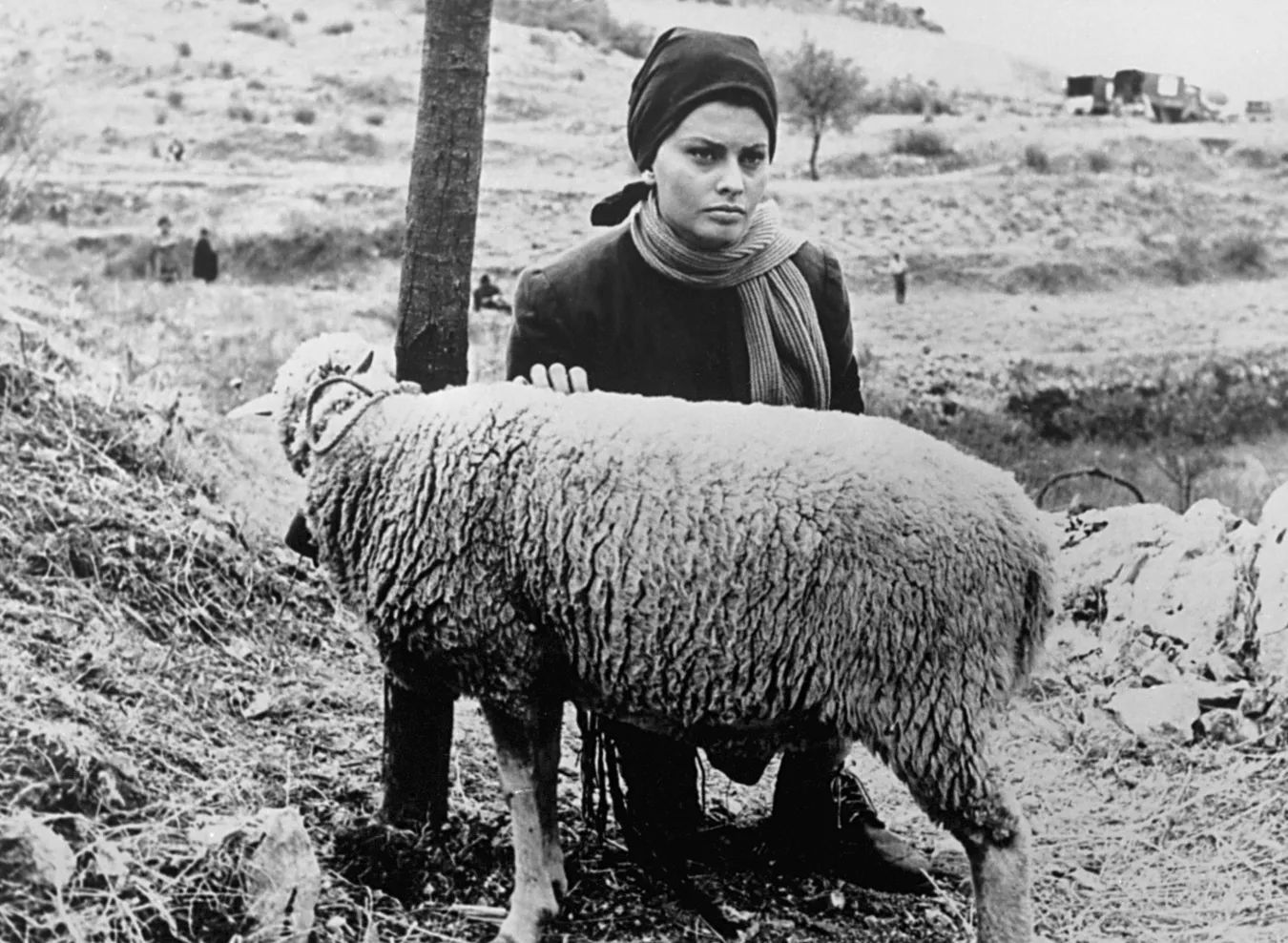 6832159-sophia-loren-w-filmie-matka-i.jpg
