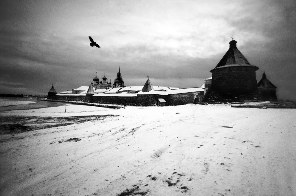 7574494-tomasz-kizny-gulag-instytut.jpg