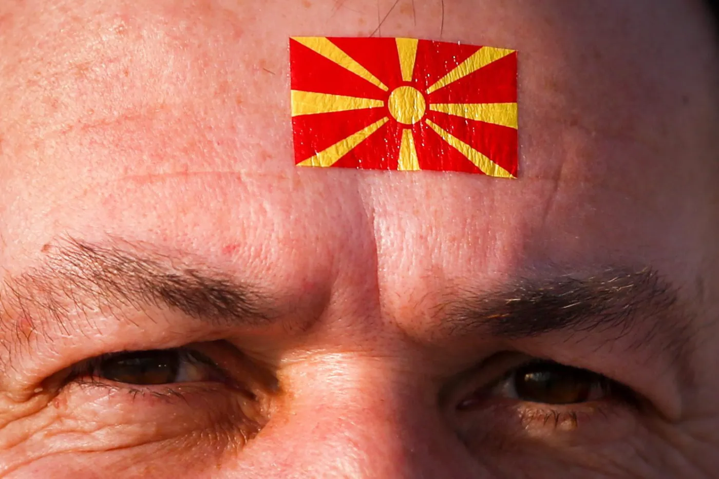 7311135-kibice-na-mundialu-w-katarze.jpg