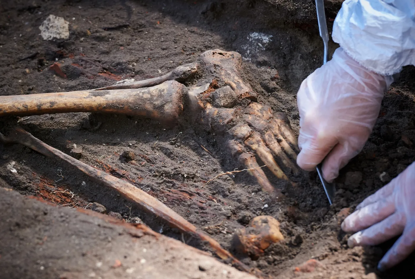 GDAŃSK, CMENTARZ GARNIZONOWY. Archeolodzy IPN odkrywają szczątki ofiar z 1946 roku