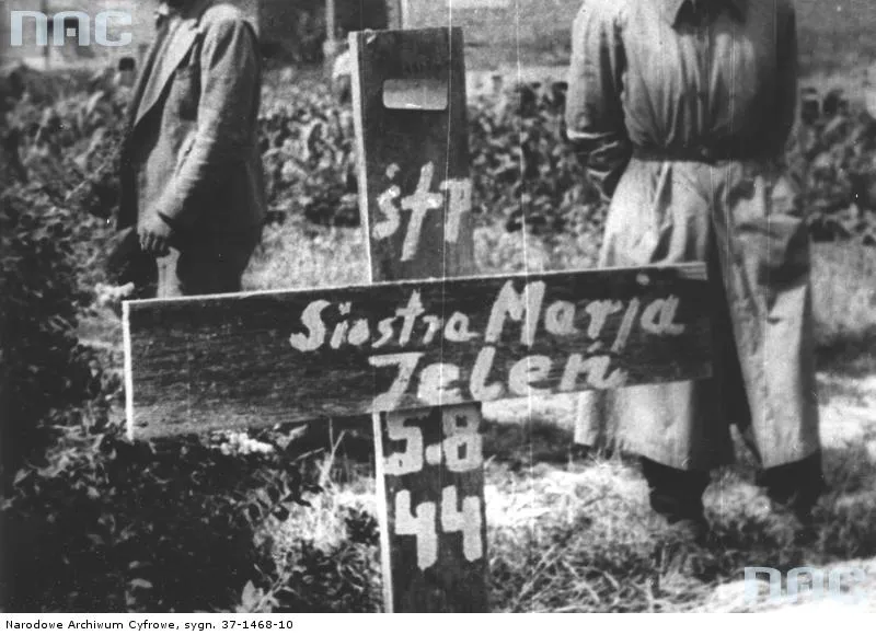 5473175-powstanie-warszawskie-1944.jpg