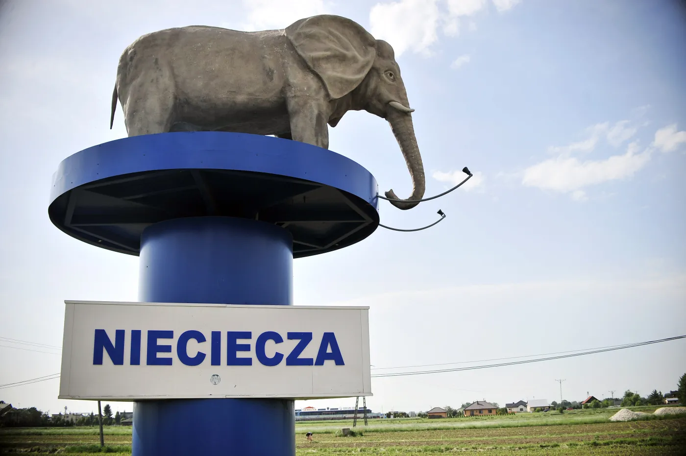 7827847-termalica-nieciecza-awansowla.jpg