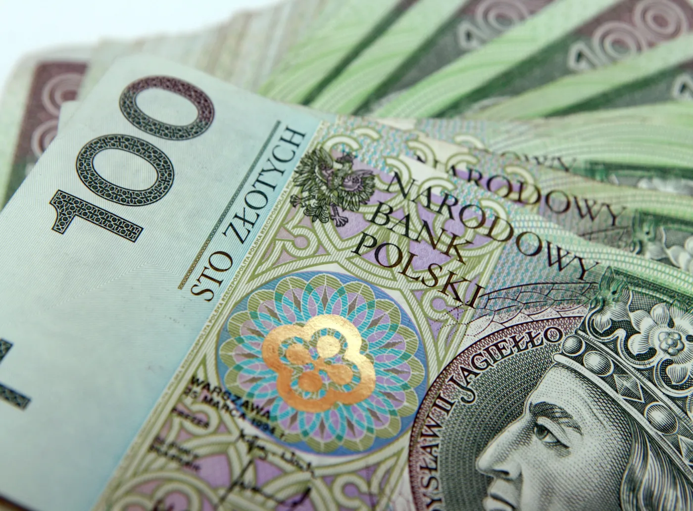 złoty banknoty stuzłotówka